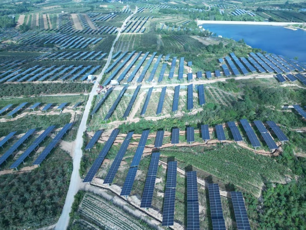 招远光伏筑基石 清洁能源谱新篇.jpg