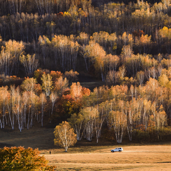 驶向秋的远处-乌兰布统坝上公路（孙琳 摄）.jpg